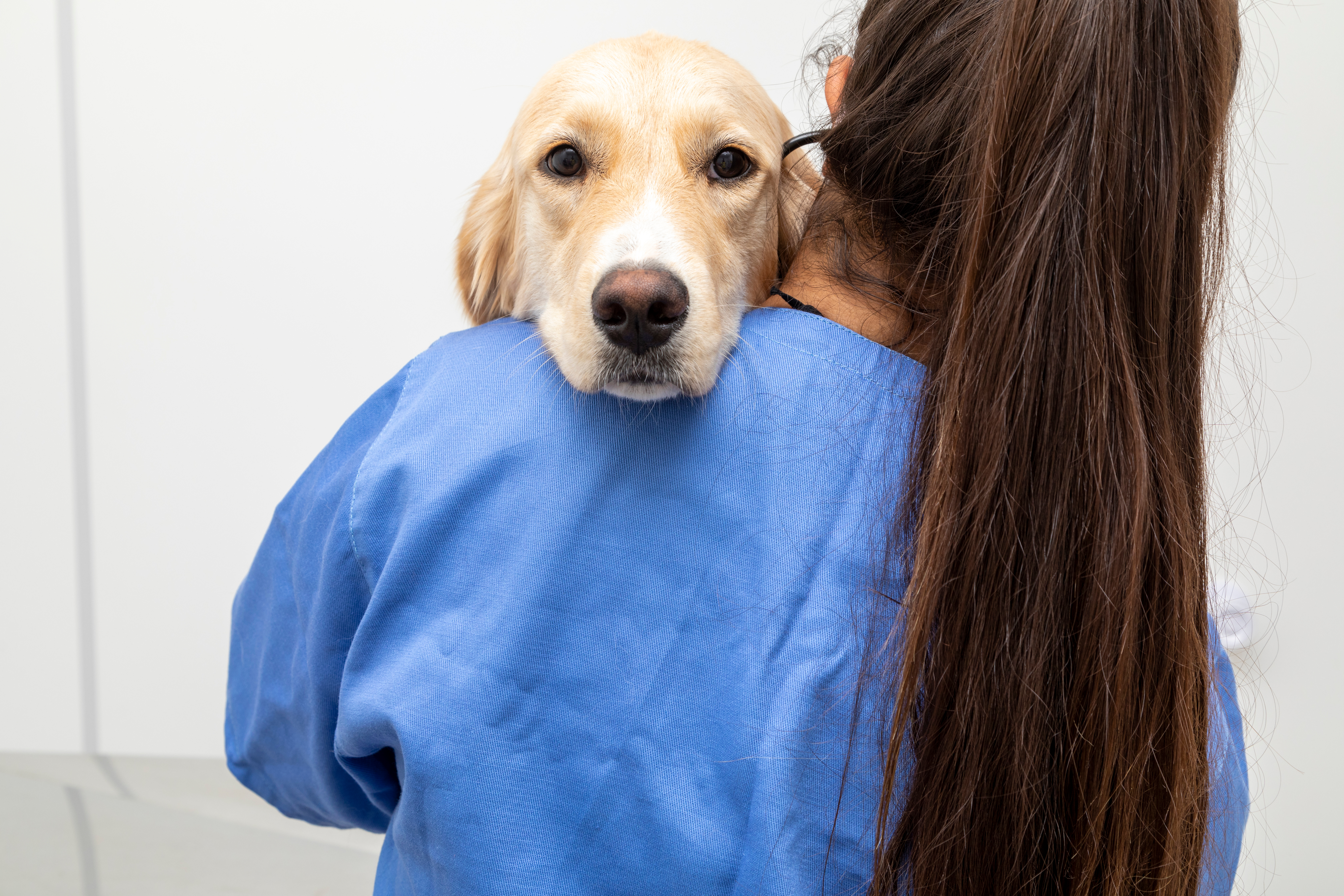 a veterinary technician is holding a dog in their arms
